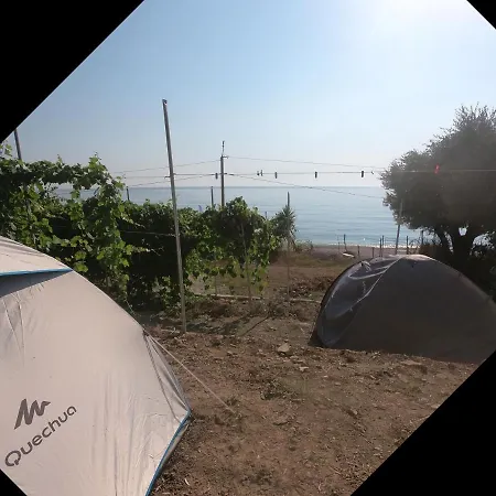 Luxury tent Jungle In Borsh