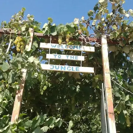 Jungle In אוהל מפואר בורש