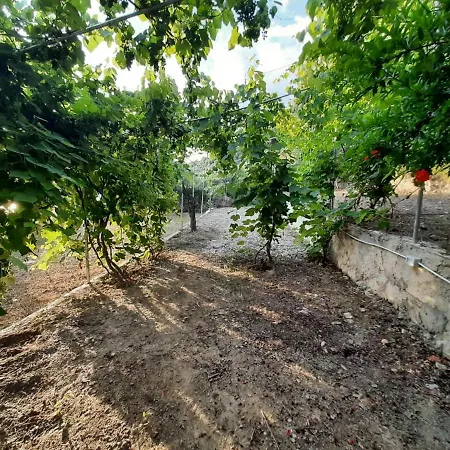 Jungle In Luxury tent