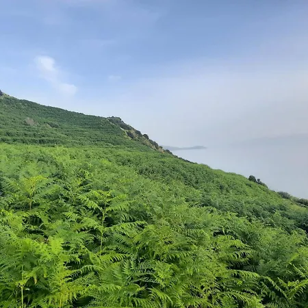 Luxury tent Jungle In *