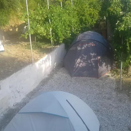 Jungle In Luxury tent *