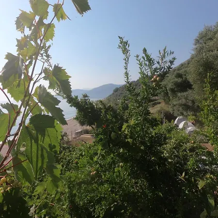Jungle In * בורש