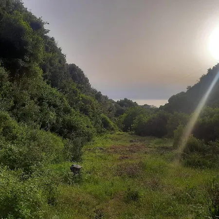 Luksusowy namiot Jungle In *