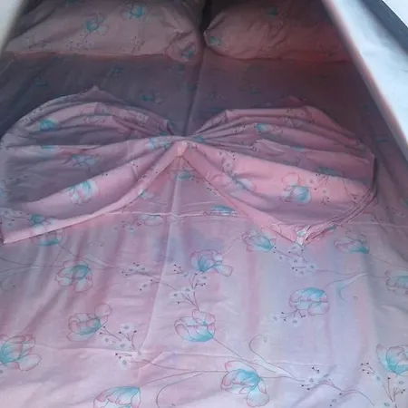 Tente de luxe Jungle In