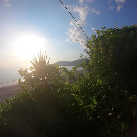 Jungle In Tente de luxe Borsh