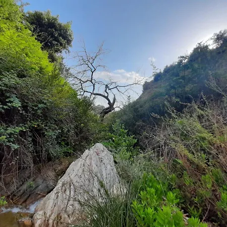 Jungle In Luxury tent *