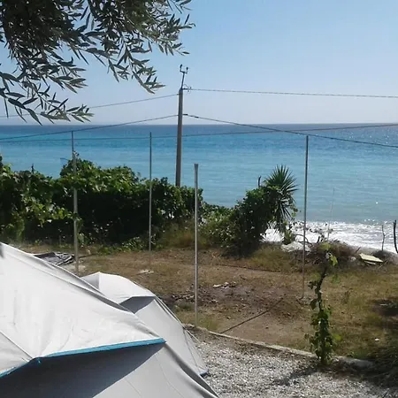 Jungle In Luxury tent