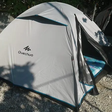 Jungle In Luxury tent *