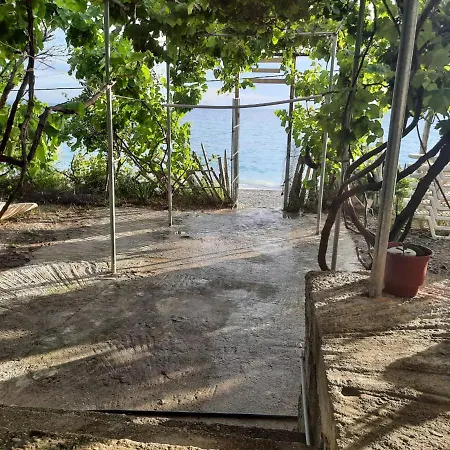 Jungle In Luksusowy namiot Borsh