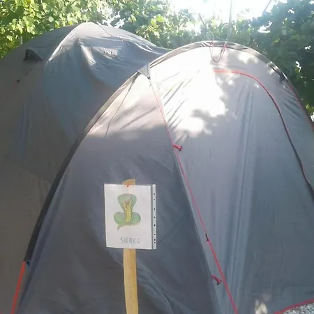 Luksusowy namiot Jungle In *