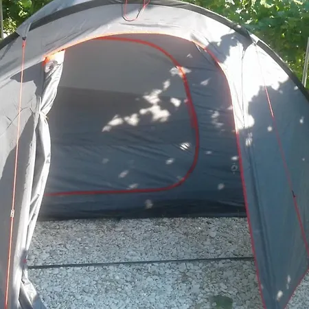 Jungle In Luxury tent