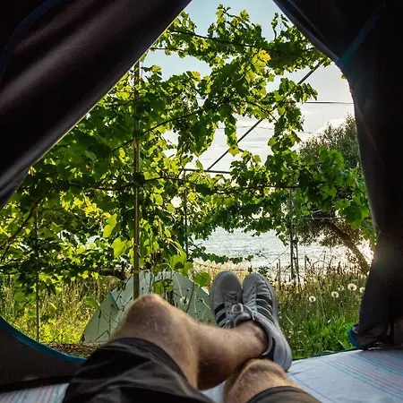 Luksusowy namiot Jungle In