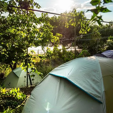 Luxury tent Jungle In