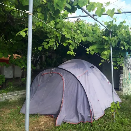 Luxury tent Jungle In