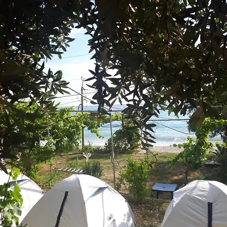 Luxury tent Jungle In Borsh