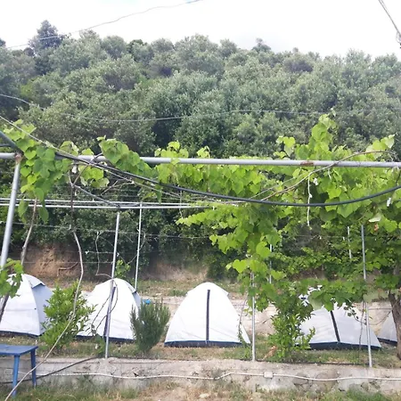 Luxury tent Jungle In