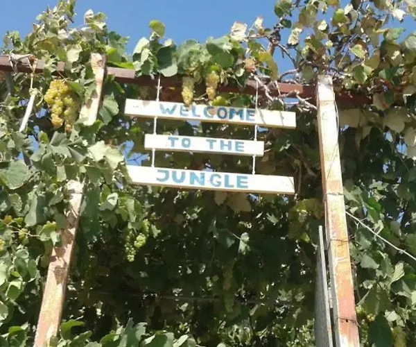 Jungle In Campo de lujo Borsh