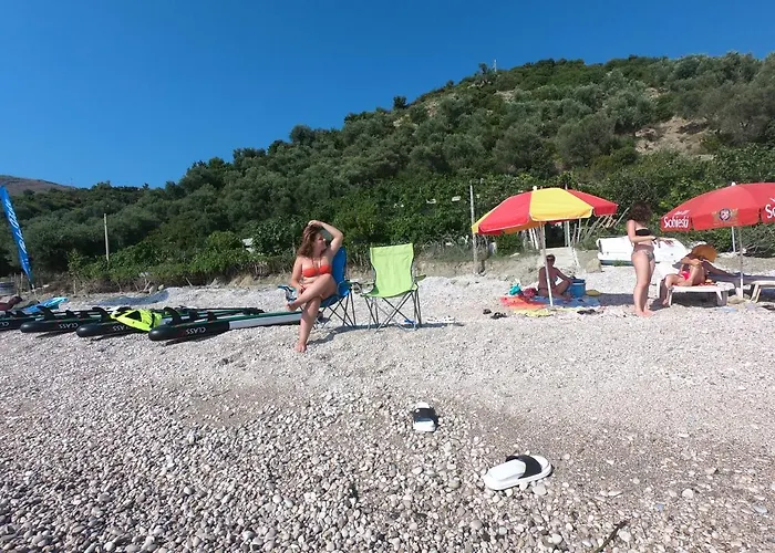 Campo de lujo Jungle In *