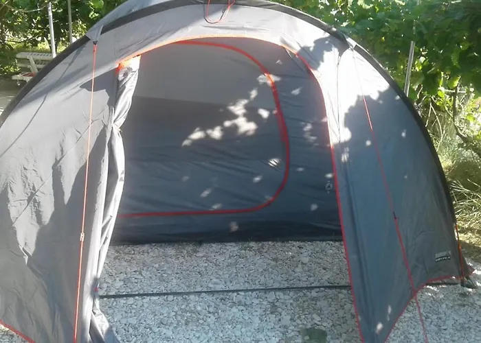 Jungle In Campo de lujo