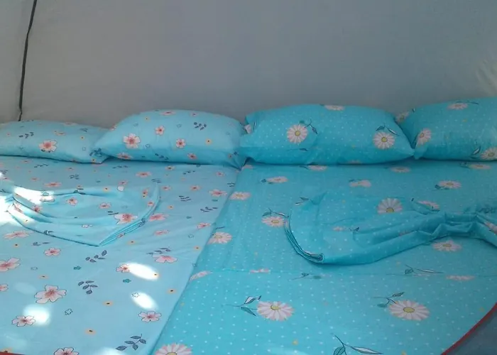 Jungle In Campo de lujo Borsh