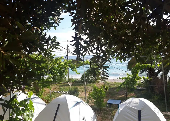 Campo de lujo Jungle In Borsh