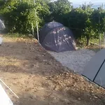 Jungle In *