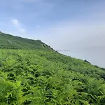 Lyxtält Jungle In *
