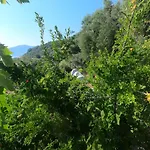 Jungle In *