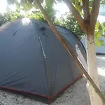 Jungle In *