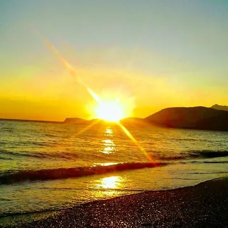 Jungle In خيمة فخمة *