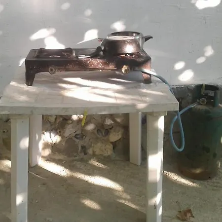 אוהל מפואר Jungle In בורש