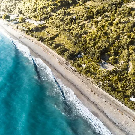 Jungle In אוהל מפואר