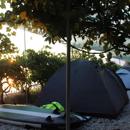 Luxe tent Jungle In *