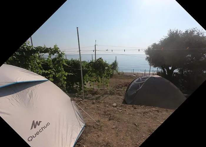 Luxe tent Jungle In Borsh