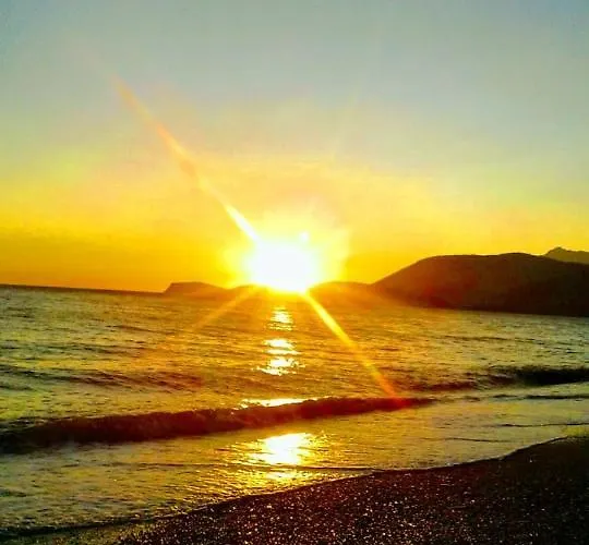 Jungle In Luxe tent *