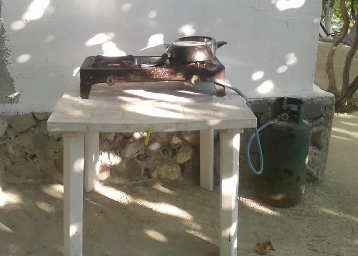 Luxe tent Jungle In Borsh