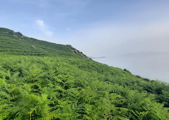 Lyxtält Jungle In *