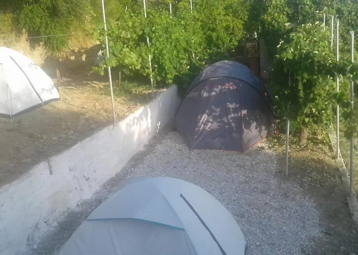 Jungle In Luxe tent *