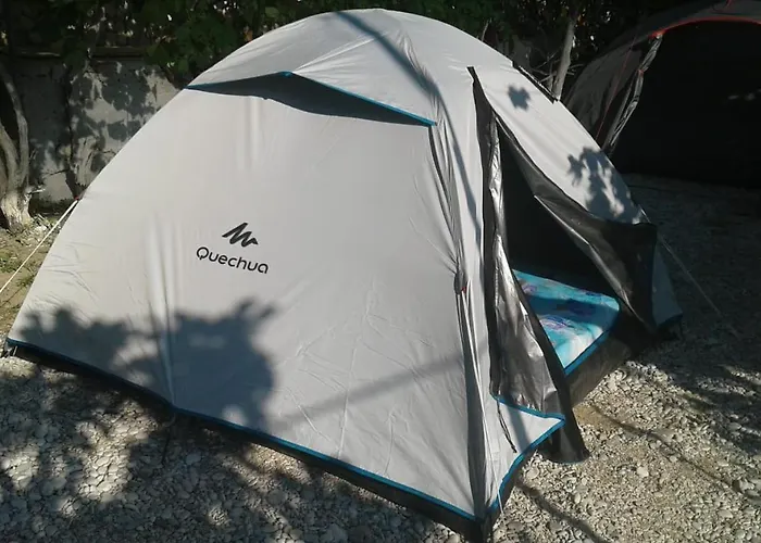 Jungle In Luxe tent *