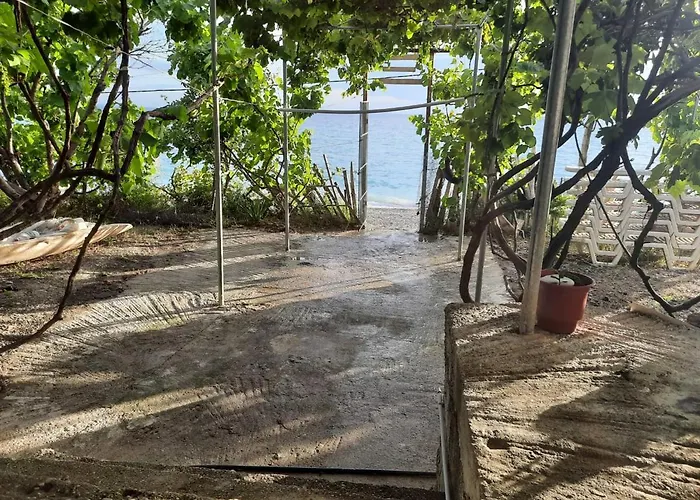 Jungle In Lyxtält Borsh