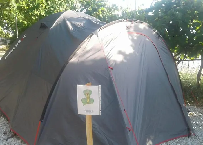 Luxe tent Jungle In *