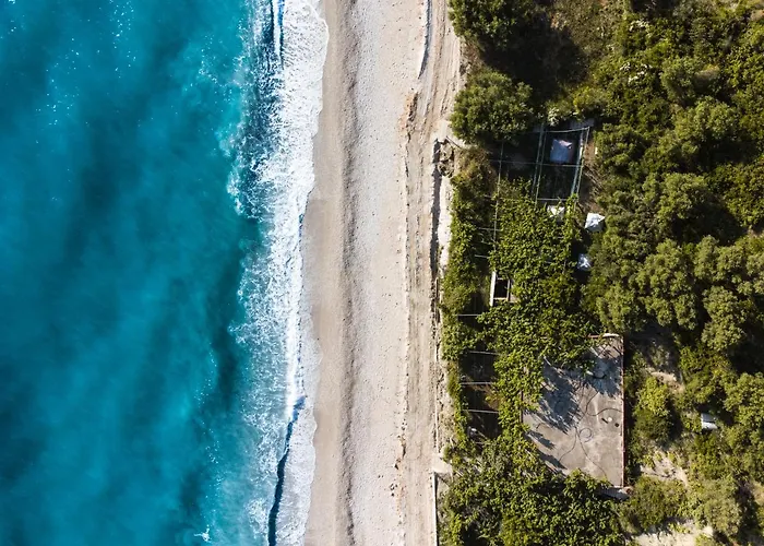 Jungle In Lyxtält Borsh