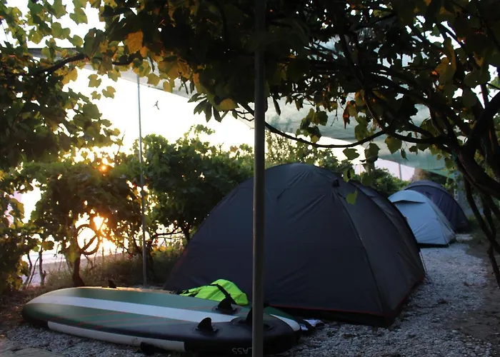 Luxe tent Jungle In *